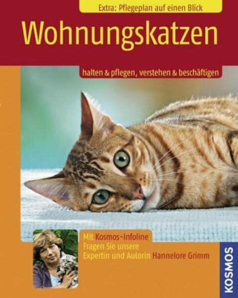 Wohnungskatzen: halten & pflegen, verstehen & beschäftigen