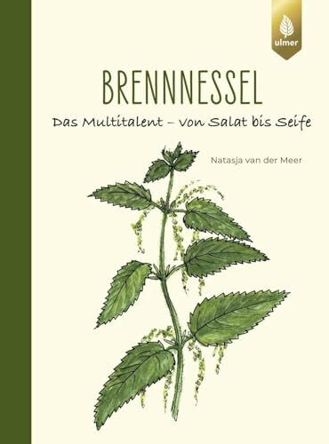 Brennnessel: Das Multitalent – von Salat bis Seife