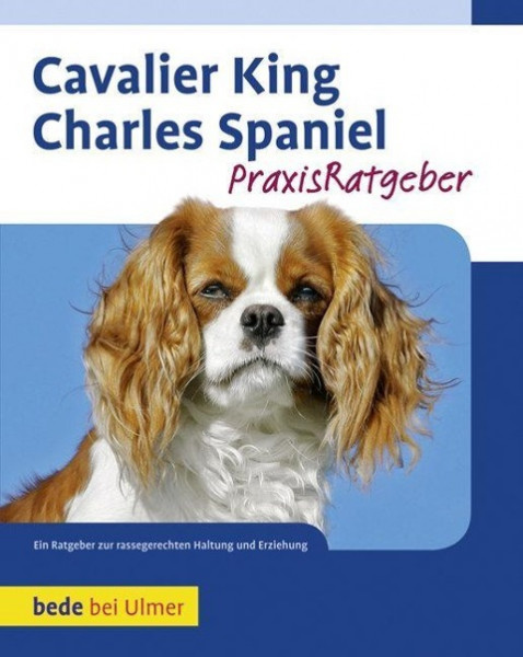 Cavalier King Charles Spaniel