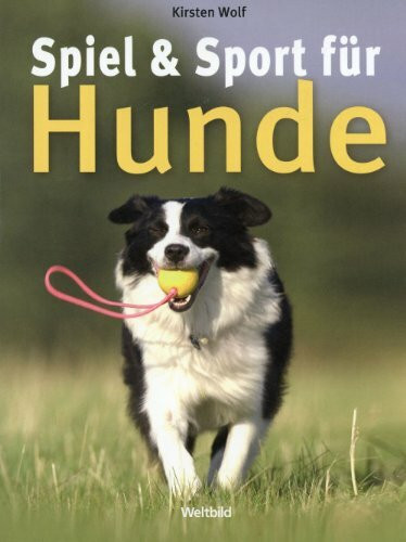 Spiel & Sport für Hunde