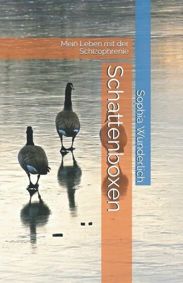 Schattenboxen: Mein Leben mit der Schizophrenie