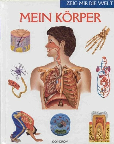 Mein Körper