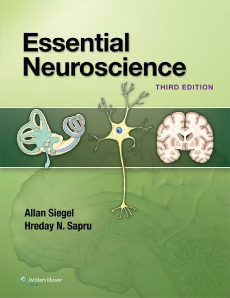 Essential Neuroscience