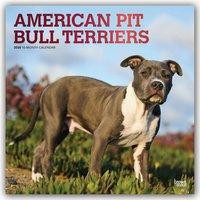 American Pit Bull Terriers 2020 - 18-Monatskalender mit freier DogDays-App