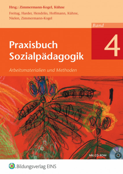 Praxisbuch Sozialpädagogik: Arbeitsmaterialien und Methoden / Band 4: Schülerband