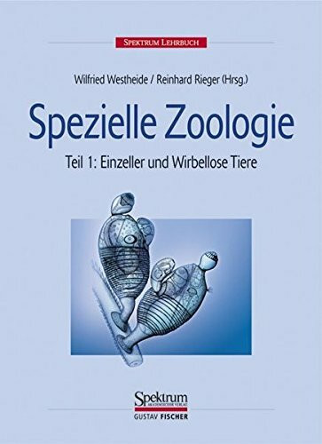 Spezielle Zoologie I