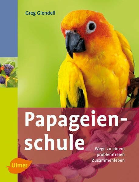 Papageienschule: Wege zu einem problemfreien Zusammenleben