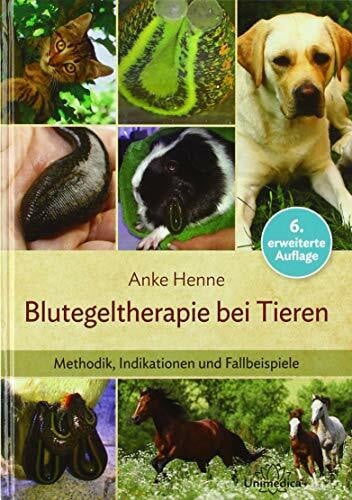 Blutegeltherapie bei Tieren: Methodik, Indikationen und Fallbeispiele