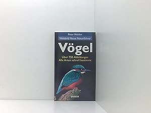 Vögel - Über 750 Abbildungen - Alle Arten schnell bestimmen