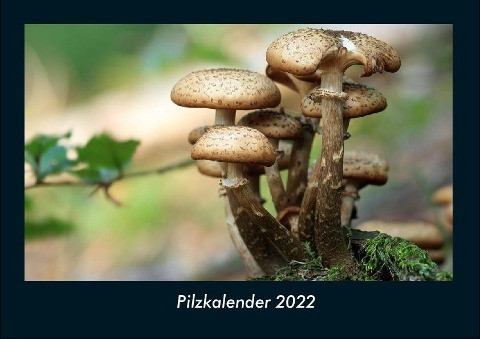 Pilzkalender 2022 Fotokalender DIN A4