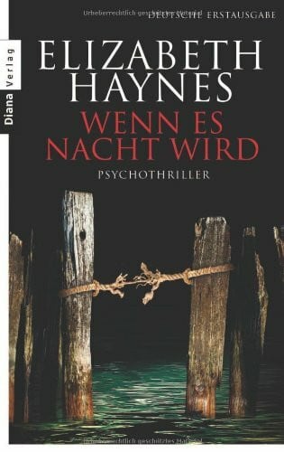 Wenn es Nacht wird: Psychothriller