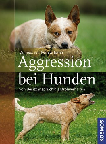 Aggression bei Hunden: Von Besitzanspruch bis Drohverhalten