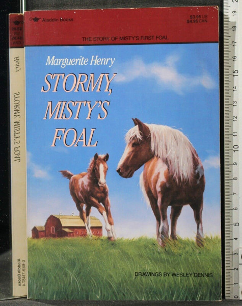Stormy: Mistys Foal