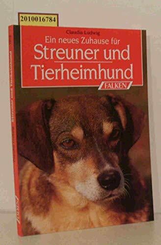 Ein neues Zuhause für Streuner und Tierheimhund