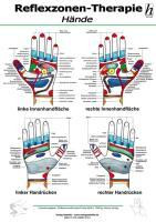 Reflexzonen-Therapie Mini-Poster - Hände DIN A4