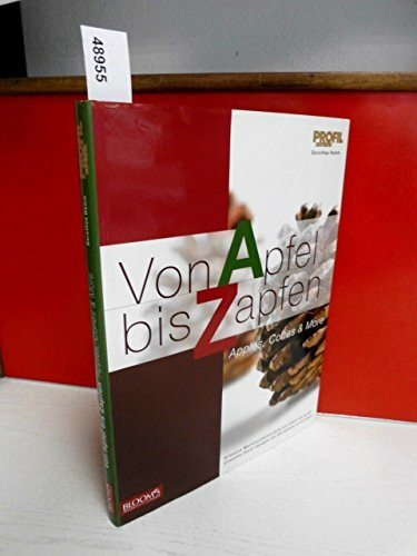 Von Apfel bis Zapfen: Kreative Weihnachtsfloristik von klein bis groß