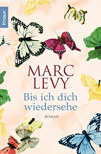 Bis ich dich wiedersehe: Roman