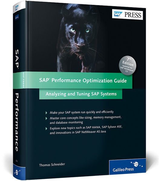 SAP Performance Optimization Guide: Analyzing and Tuning SAP Systems (SAP PRESS: englisch)