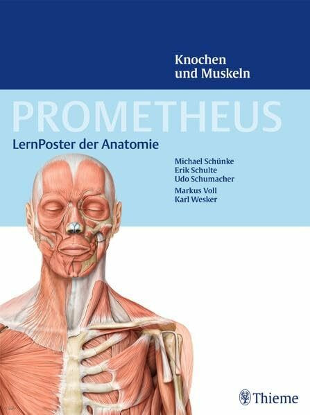 PROMETHEUS LernPoster der Anatomie, Knochen und Muskeln