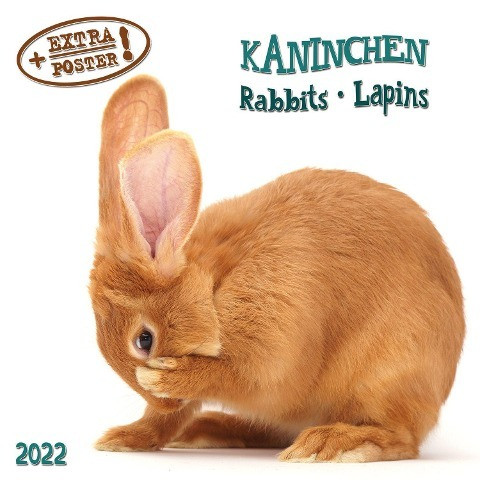 Rabbits/Kaninchen 2022