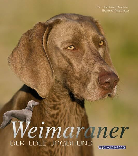 Weimaraner: Der edle Jagdhund (Cadmos Hundebuch)