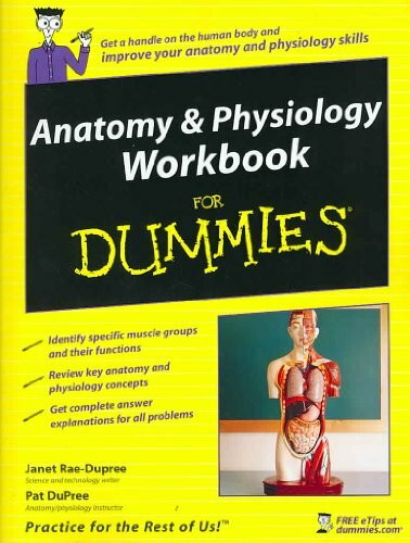 Anatomy & Physiology Workbook For Dummies (For Dummies Series)