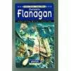 Detektiv Flanagan