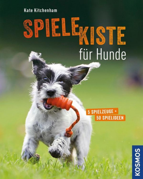 Spielekiste für Hunde