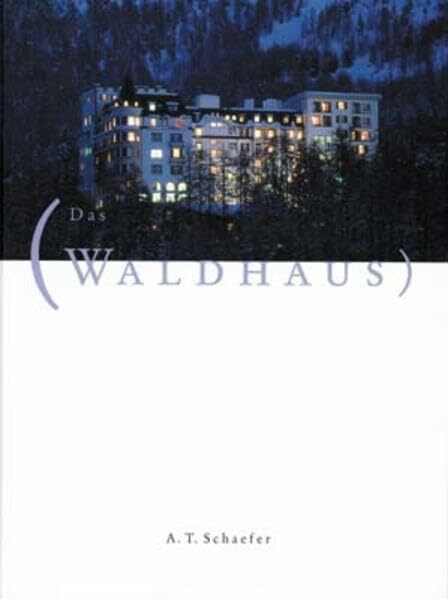 Das Waldhaus Sils-Maria: Insel mit Brücken