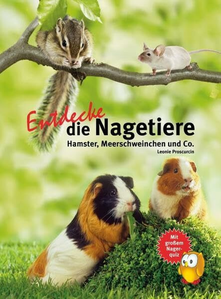 Entdecke die Nagetiere: Hamster, Meerschweinchen & Co. (Entdecke - Die Reihe mit der Eule: Kindersachbuchreihe)