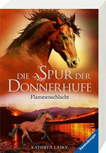 Die Spur der Donnerhufe, Band 1: Flammenschlucht