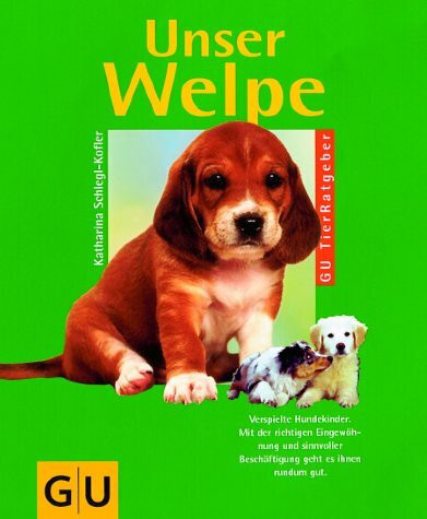 Unser Welpe. Verspielte Hundekinder. Mit der richtigen Erziehung und sinnvoller Beschäftigung geht es ihnen rundum gut