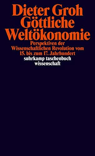 Göttliche Weltökonomie: Perspektiven der wissenschaftlichen Revolution vom 15. bis zum 17. Jahrhundert (suhrkamp taschenbuch wissenschaft)