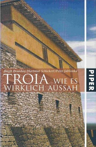 TROIA: Wie es wirklich aussah