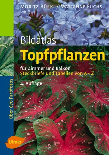 Bildatlas Topfpflanzen für Zimmer und Balkon. Steckbriefe und Tabellen von A - Z