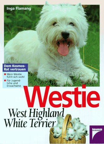 Westie