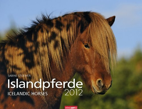 Islandpferde 2012