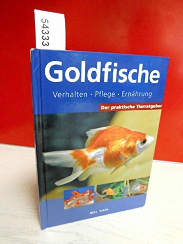 Goldfische: Verhalten, Pflege, Ernährung