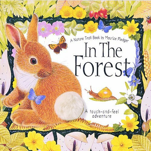 In the Forest (Maurice Pledger's Nature Trail)