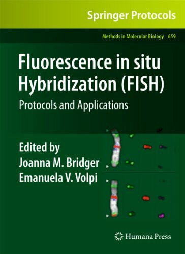 Fluorescence in situ Hybridization (FISH): Protocols and Applications (Methods in Molecular Biology, 659, Band 659)