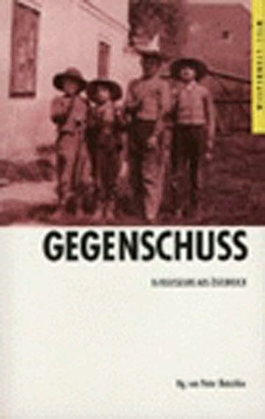 Gegenschuss: 16 Regisseure aus Österreich (Edition Wespennest /Film)