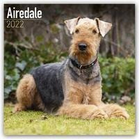 Airedale Terriers 2022 - 18-Monatskalender mit freier DogDays-App