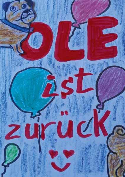 Ole ist zurück: Aus dem Leben von Mops Ole