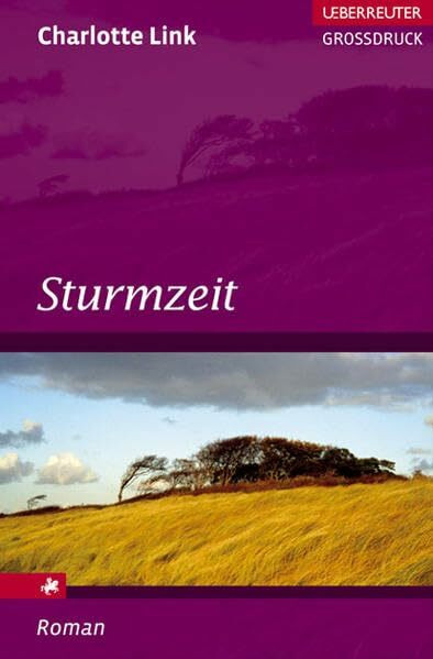 Sturmzeit (Ueberreuter Grossdruck)