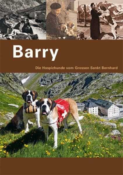 Barry: Die Hospizhunde vom Grossen Sankt Bernhard