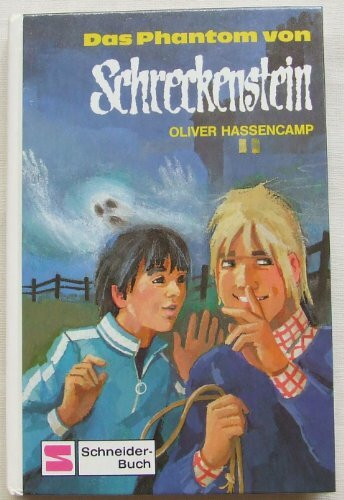 Burg Schreckenstein: Das Phantom von Schreckenstein. Bd. 22