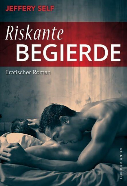 Riskante Begierde: Erotischer Roman