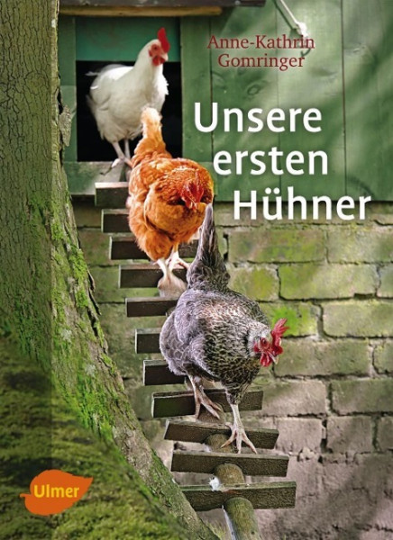 Unsere ersten Hühner