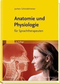 Anatomie und Physiologie