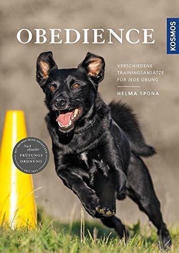 Obedience: Verschiedene Trainingsansätze für jede Übung Obedience: Verschiedene Trainingsansätze für jede Übung